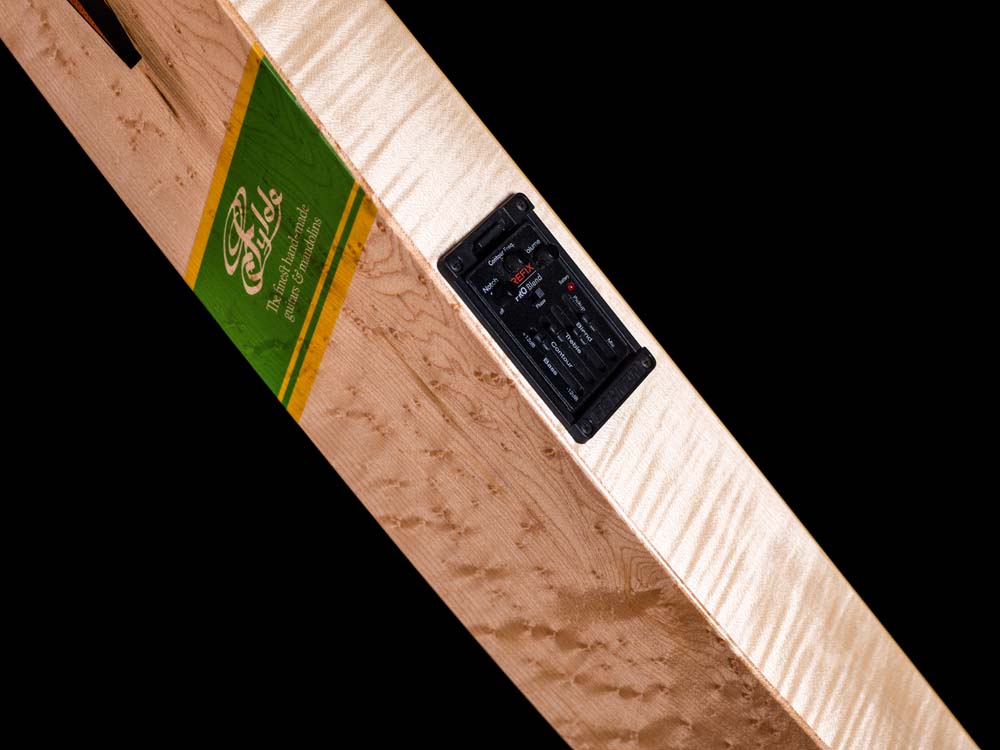 cricket bat guitar CF002768